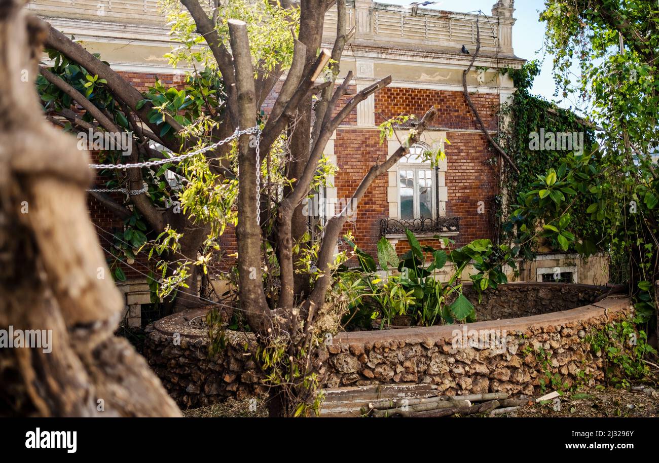 Abandoned house covered with brown tiles surrounded by nature in