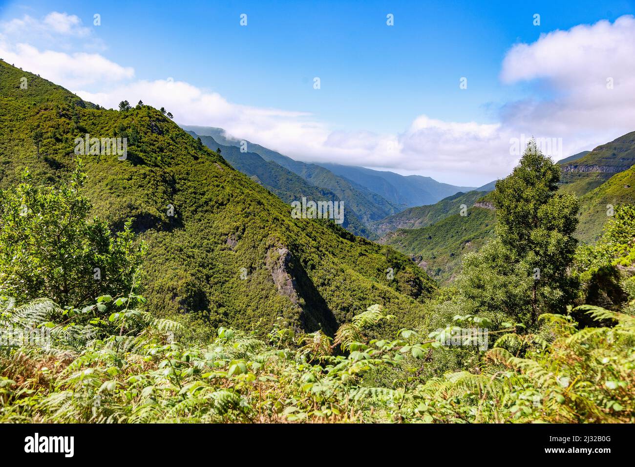 Levada do Risco, view of Ribeira Grande Stock Photo