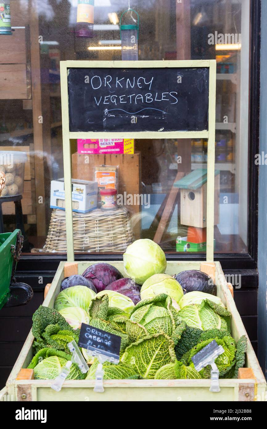 Fresh local vegetables for sale outside a grocers shop, Kirkwall, Orkney, UK 2022 Stock Photo