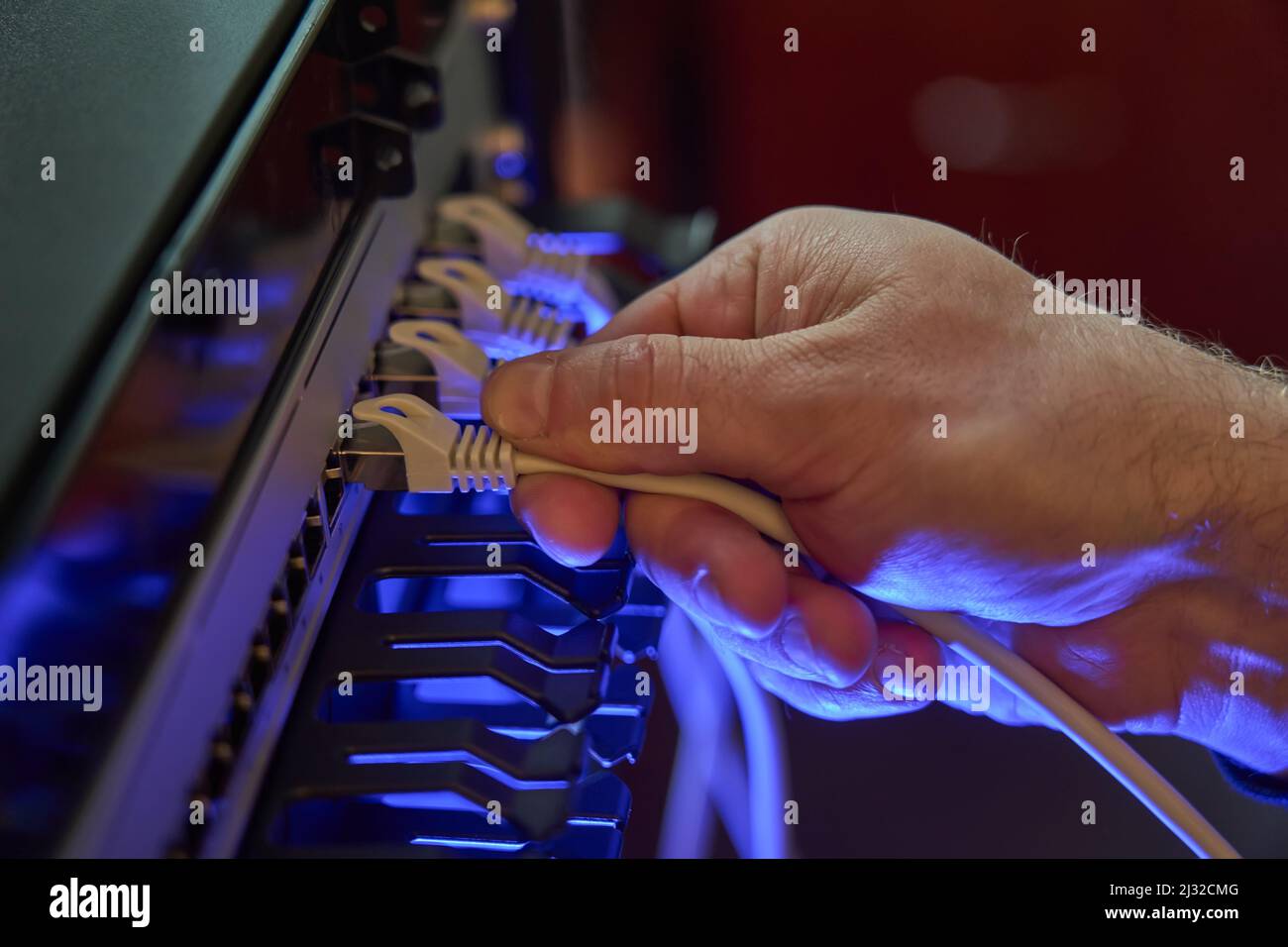 IT expert working with computer server network cable. Connectivity, Internet, technician, installing. Stock Photo