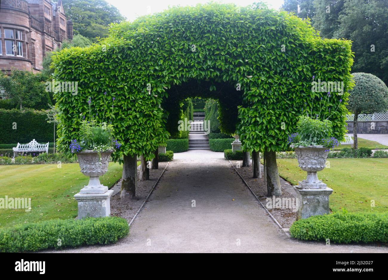 The Central Arbor Hedge Tunnel  in the Summer Garden at Holker Hall & Gardens, Lake District, Cumbria, England, UK. Stock Photo