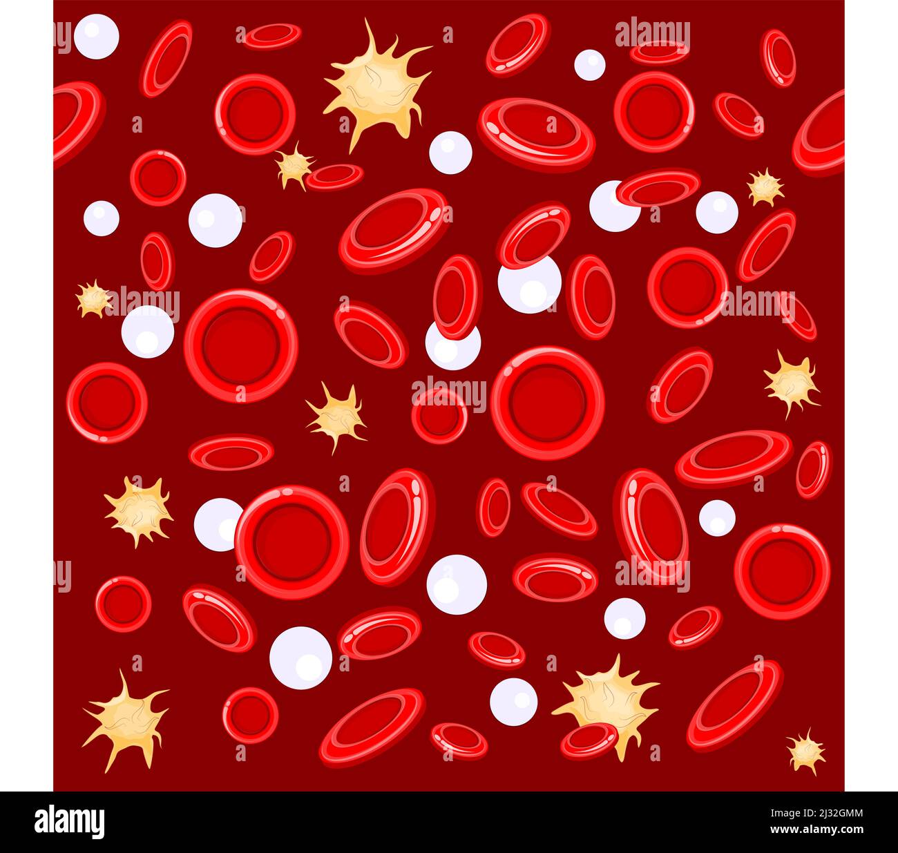 seamless pattern. red and white blood cells under microscope. Vector background Stock Vector