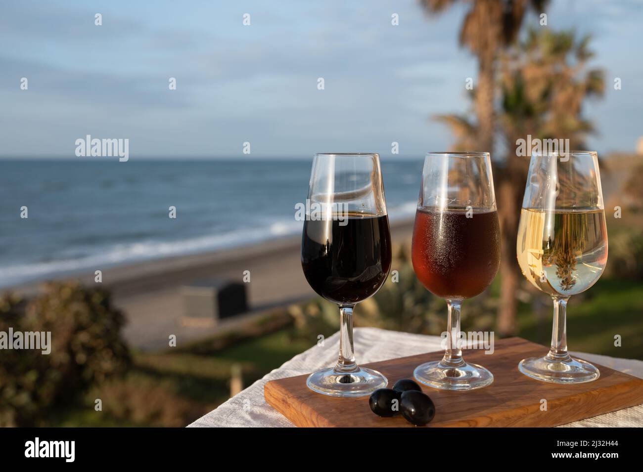 Tasting of Spanish sweet and dry fortified Vino de Jerez sherry wine