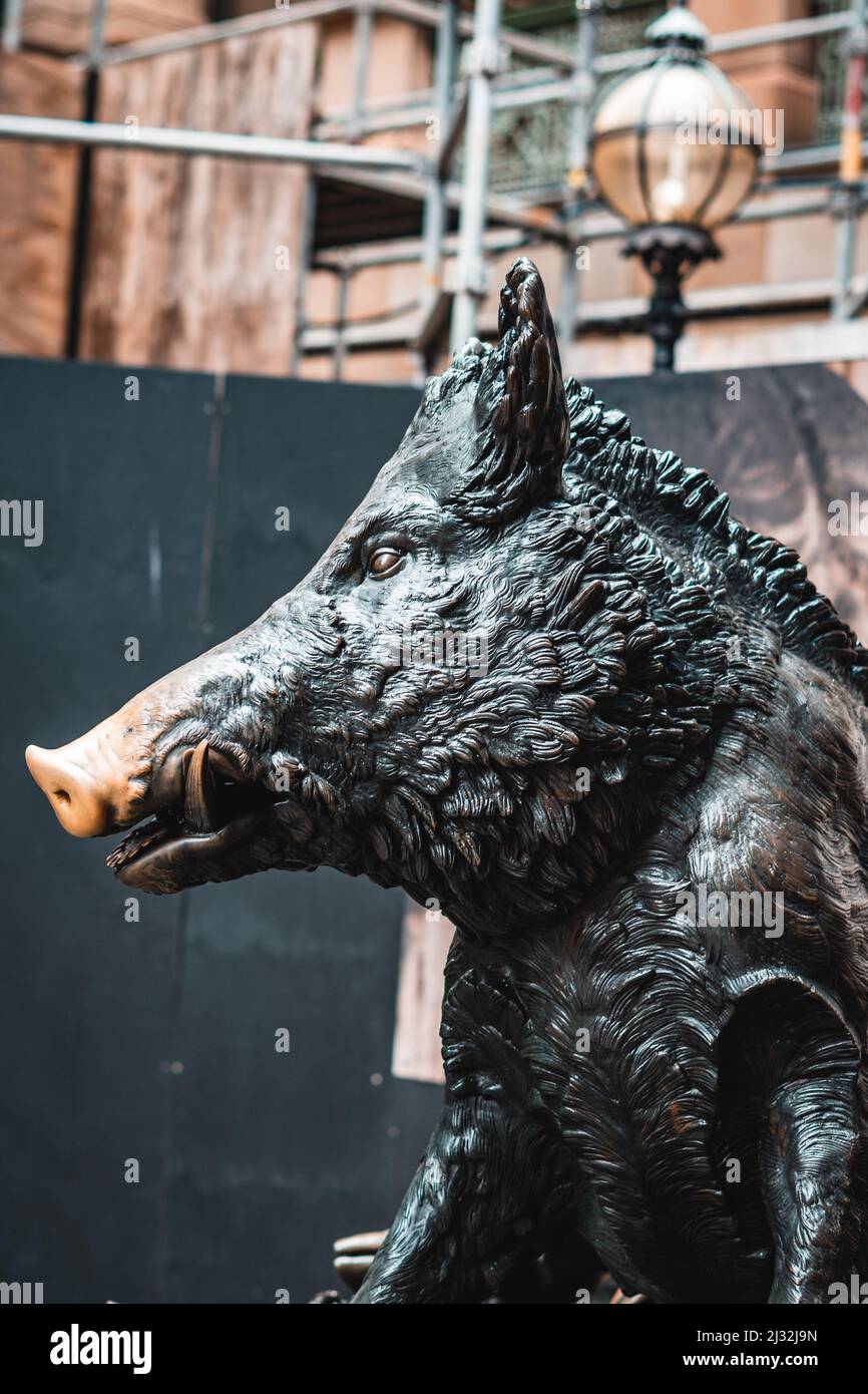 A pig statue in the city of Sydney, Australia Stock Photo Alamy