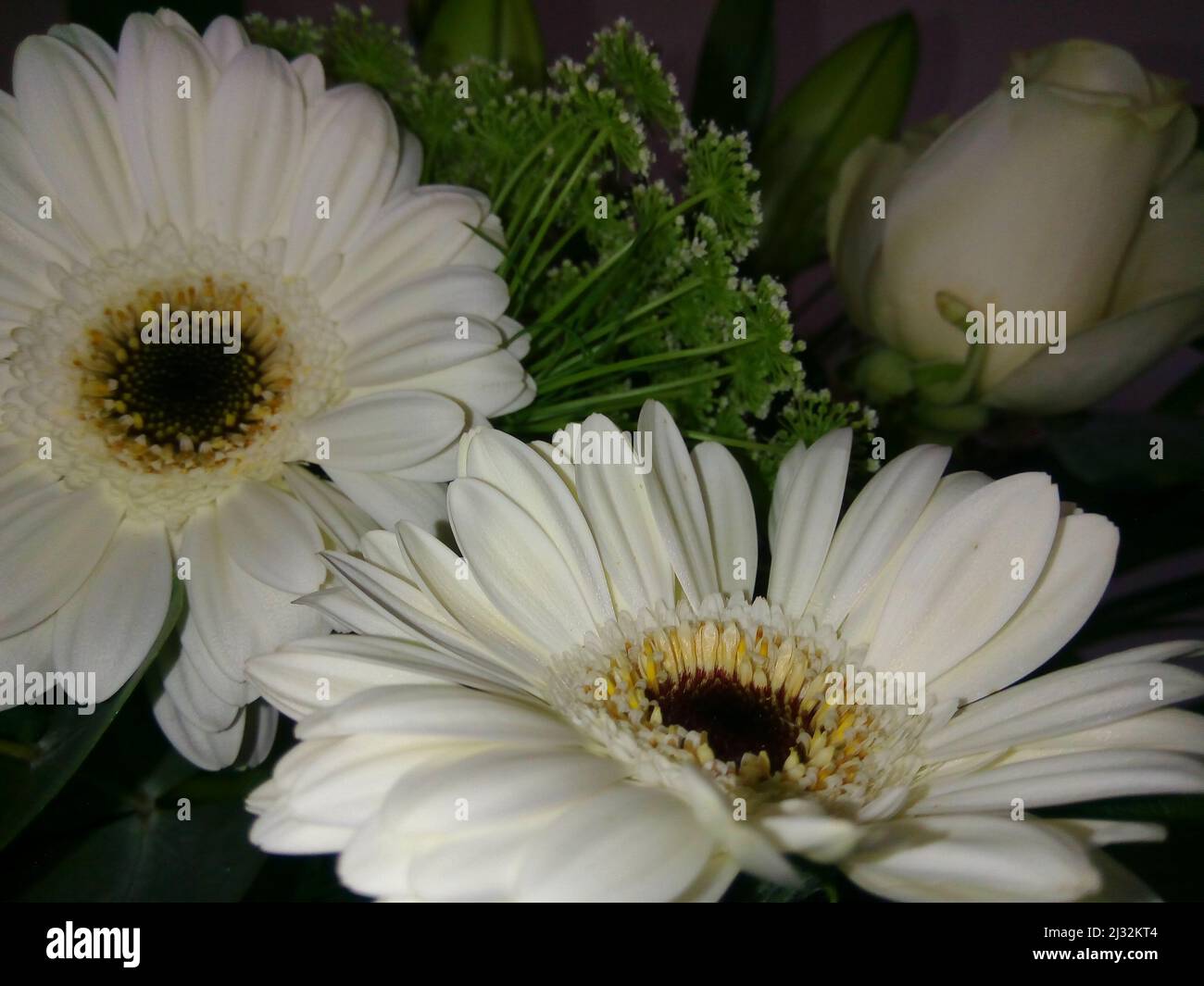 Bouquet of beautiful yellow and white flowers.  With sympathy concept Stock Photo