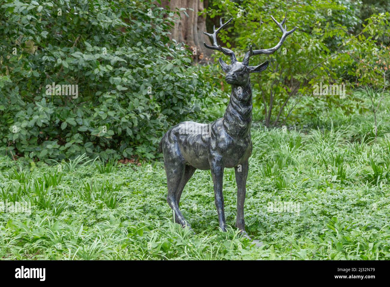 A cast iron full sized statue of a stag in the grounds of Goldsborough Hall in North Yorkshire. Stock Photo