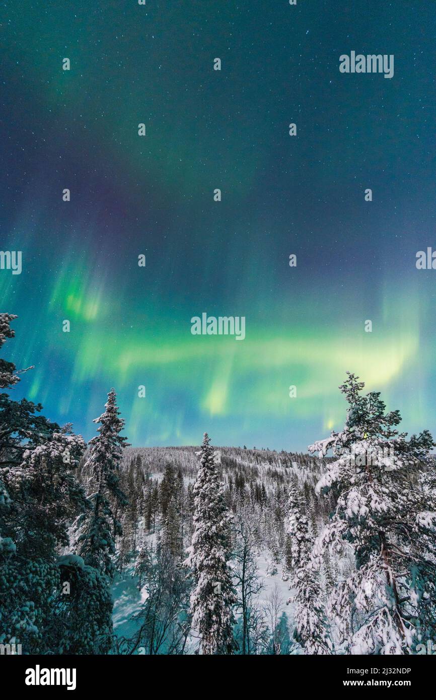 Green and purple northern lights in Rovaniemi Finnish Lapland Stock