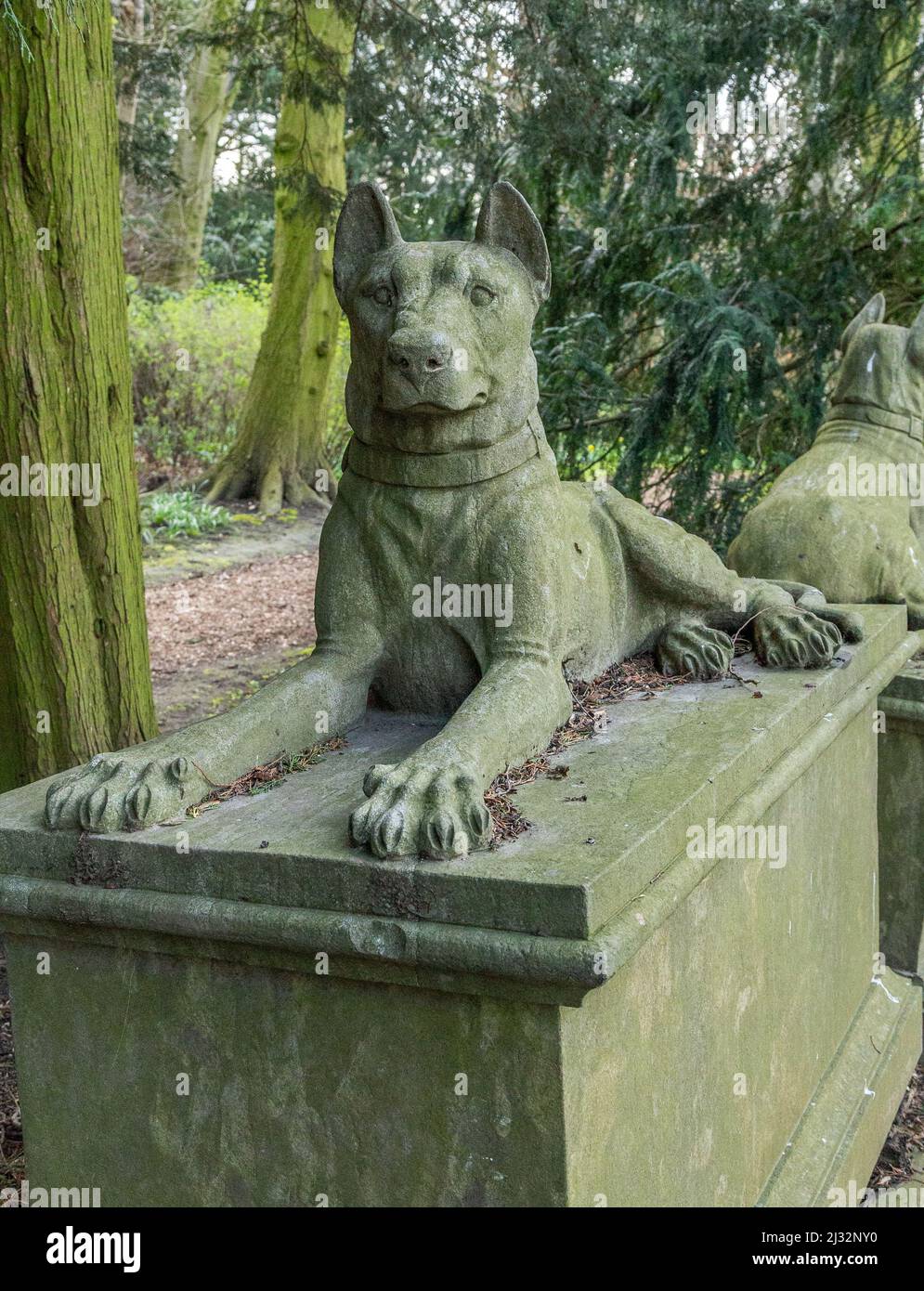 Stone dog statues in the gardens at Goldsborough Hall, North Yorkshire. Stock Photo