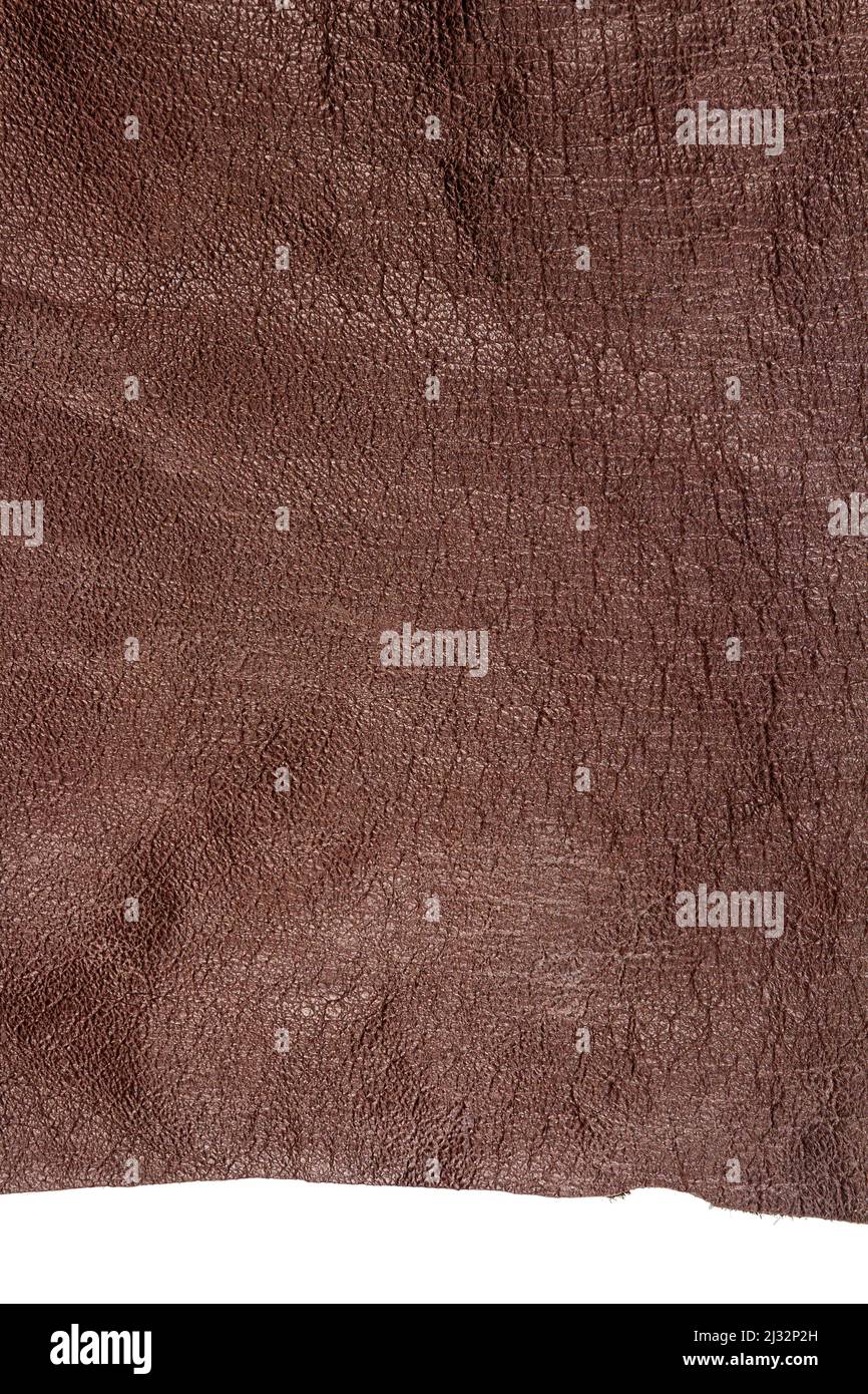 Texture Of Genuine Matte Rough Leather Closeup Embossed Under The