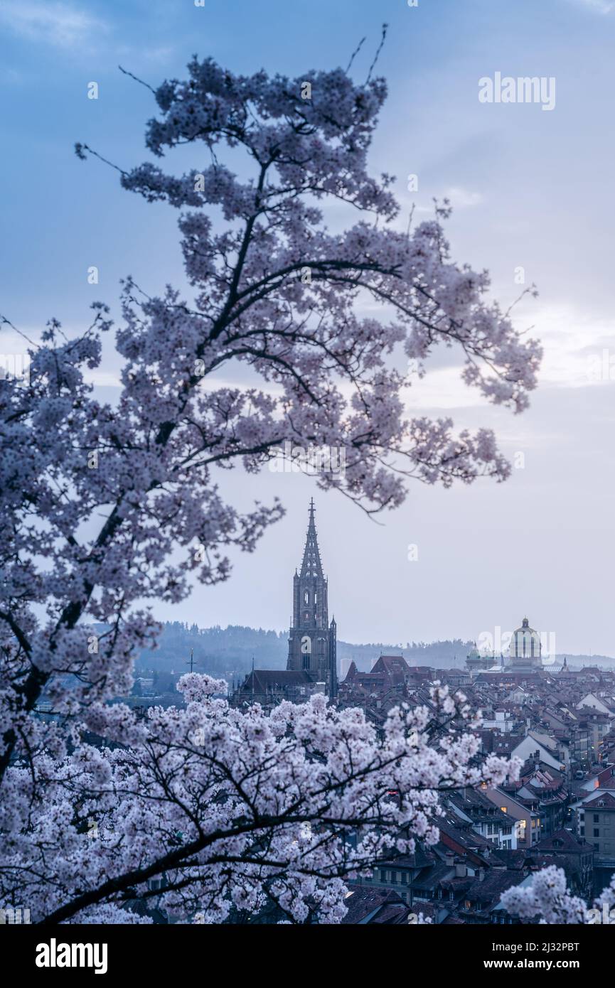 Oldtown bern hi-res stock photography and images - Alamy