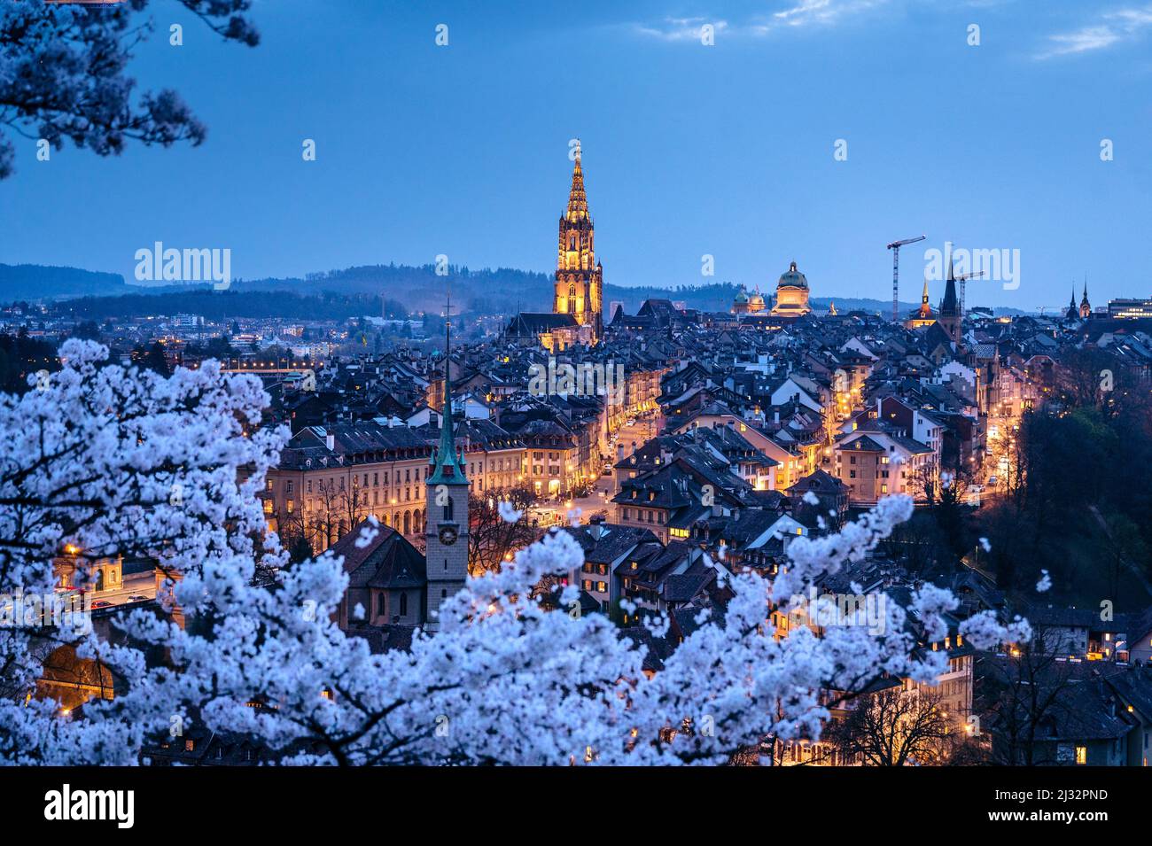 view from Rosengarten over the historic center of Bern during cherry blossom in spring Stock Photo