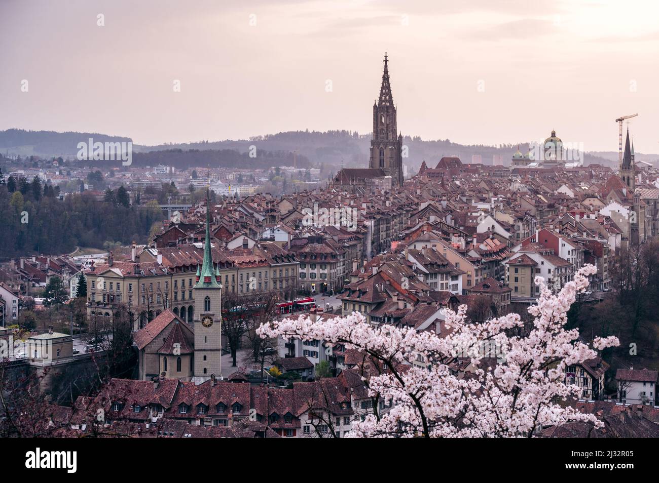 historic olttown of Bern during scenic cherry blossom in Rosengarten Stock Photo