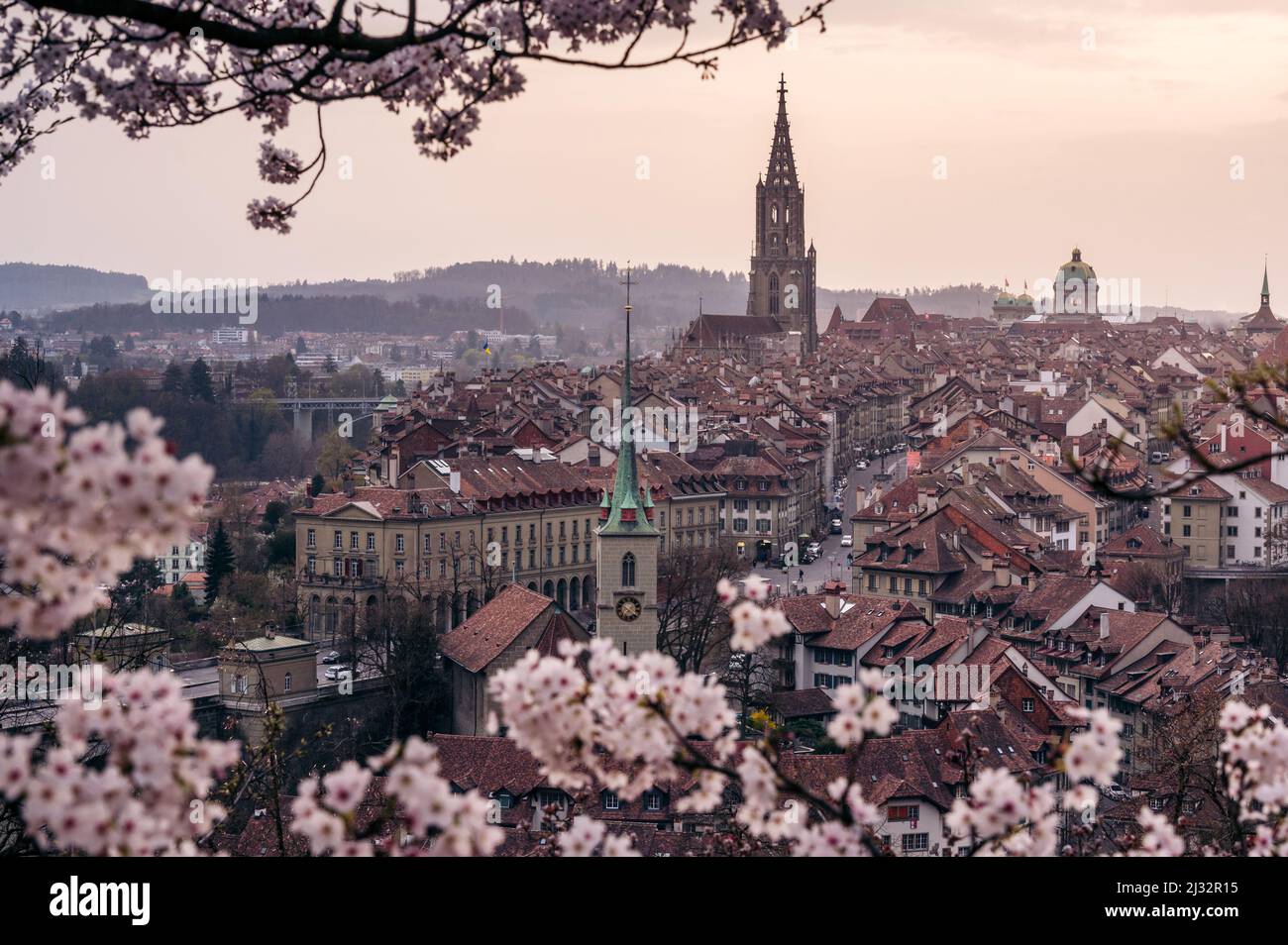 historic olttown of Bern during scenic cherry blossom in Rosengarten Stock Photo