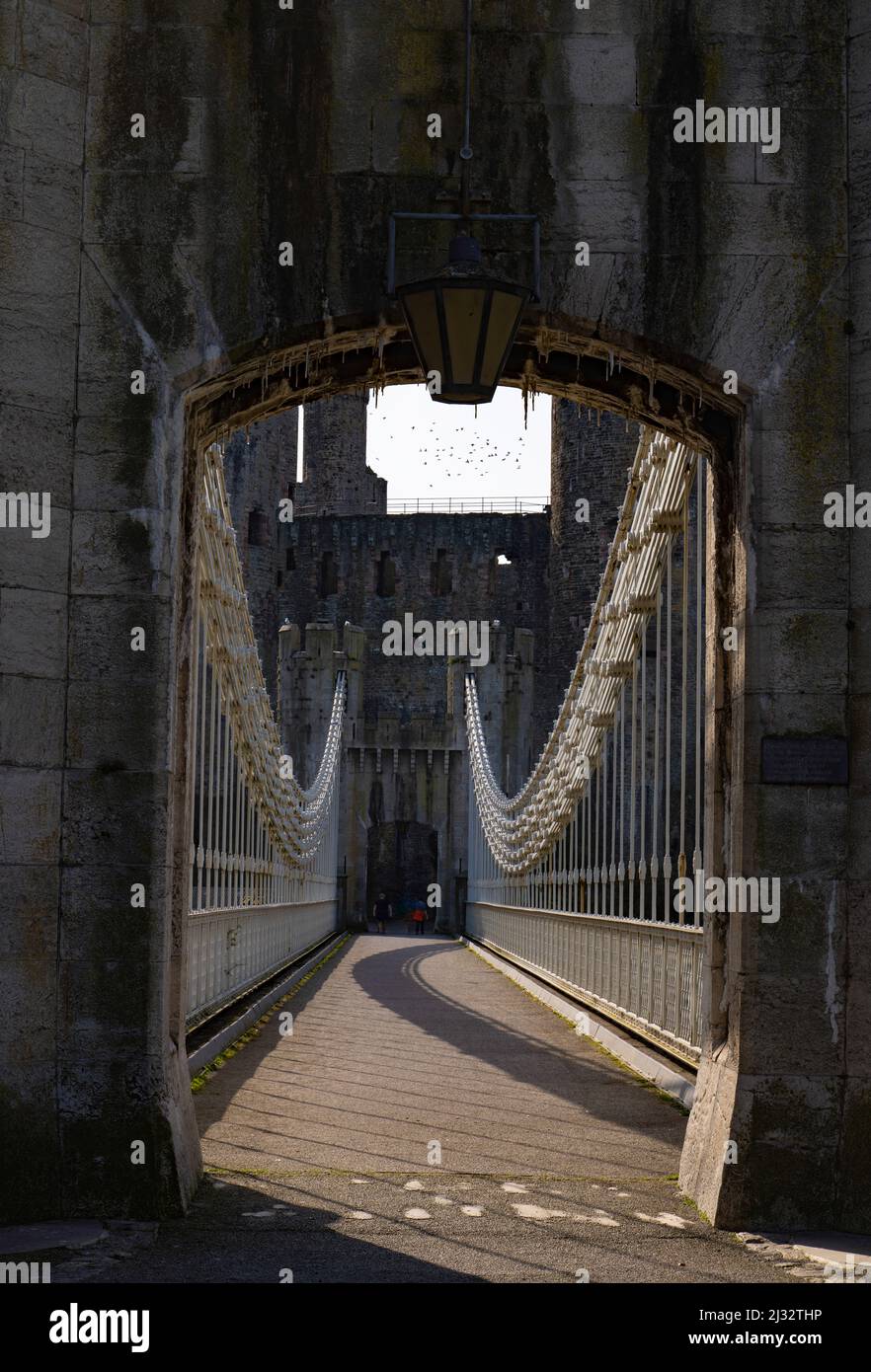 Conwy suspension bridge leading to the castle Stock Photo Alamy