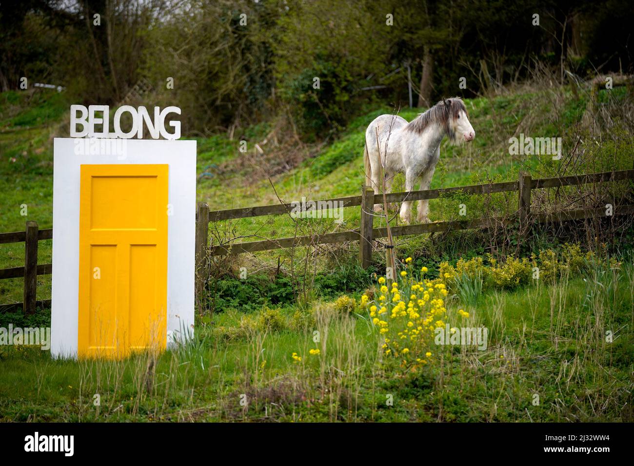 A horse stands in a field near Granard, County Longford, Ireland. Picture date: Tuesday April 5, 2022. Stock Photo
