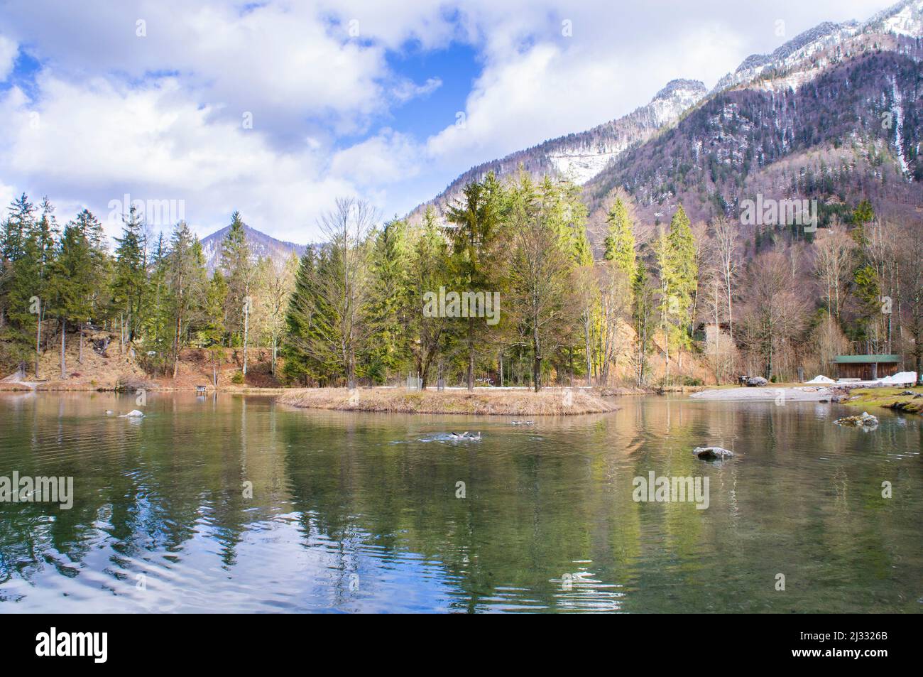 Cumberland Wildpark in Grunau im Almtal, Upper Austria, February 23, 2022.  (CTK Photo/Libor Sojka) Stock Photo