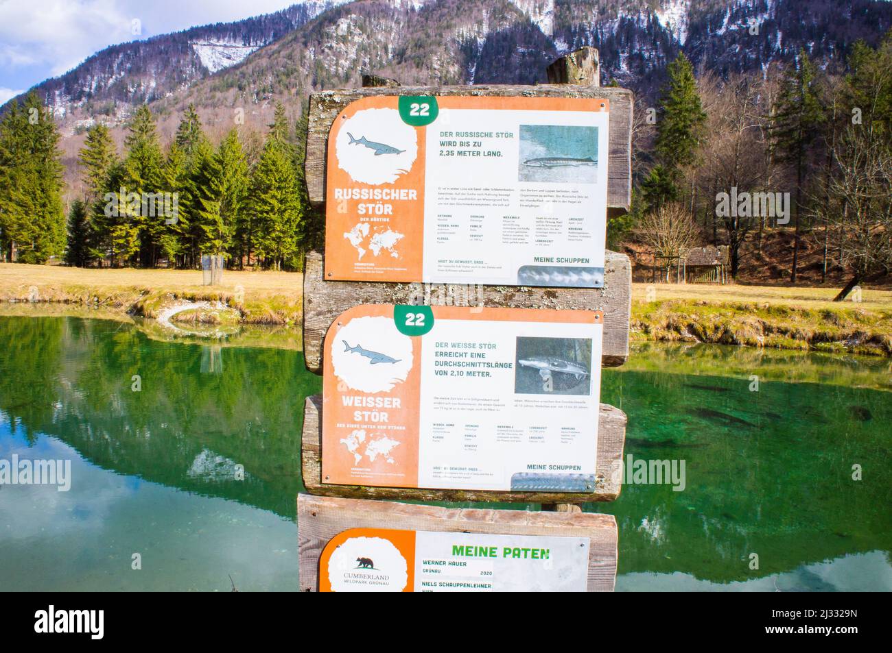 Cumberland Wildpark in Grunau im Almtal, Upper Austria, February 23, 2022.  (CTK Photo/Libor Sojka) Stock Photo