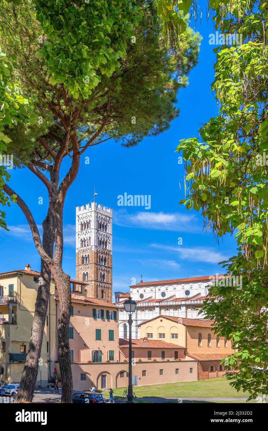 The Cathedral of San Martino in Lucca, Province of Lucca, Toscana, Italy Stock Photo