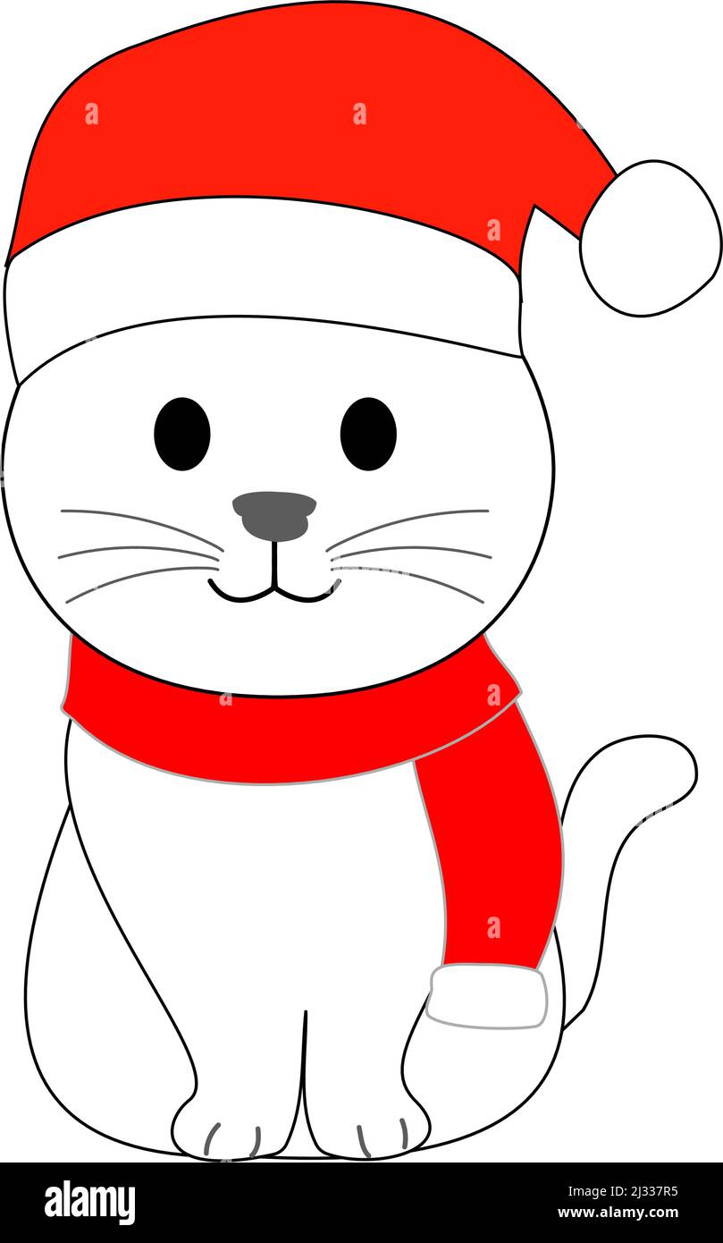 A white cat in santa claus hat and knit with white background Stock Photo