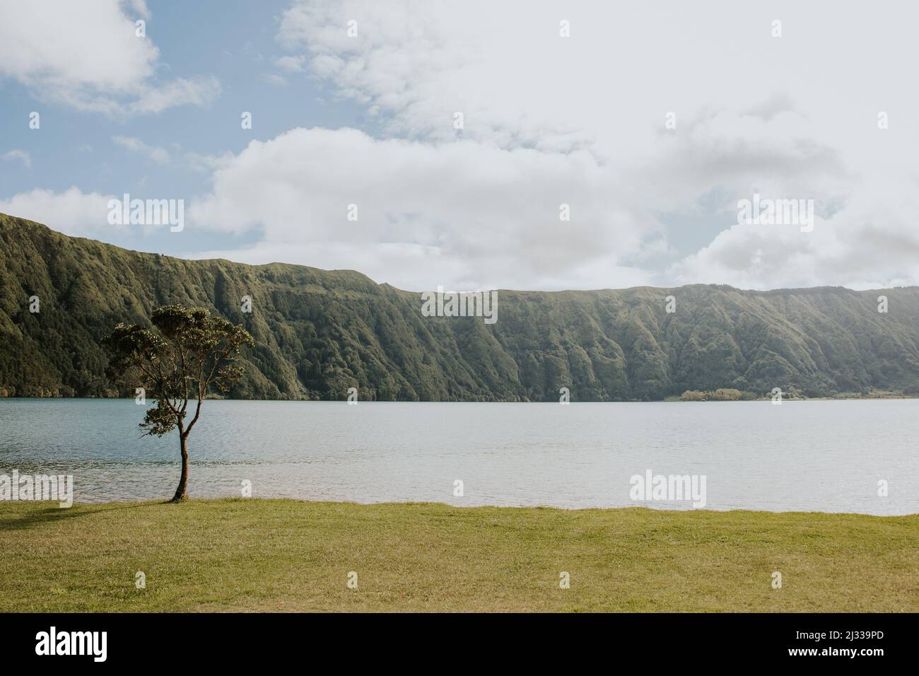 Inside a volcano caldera, in the azorean island of São Miguel Stock ...