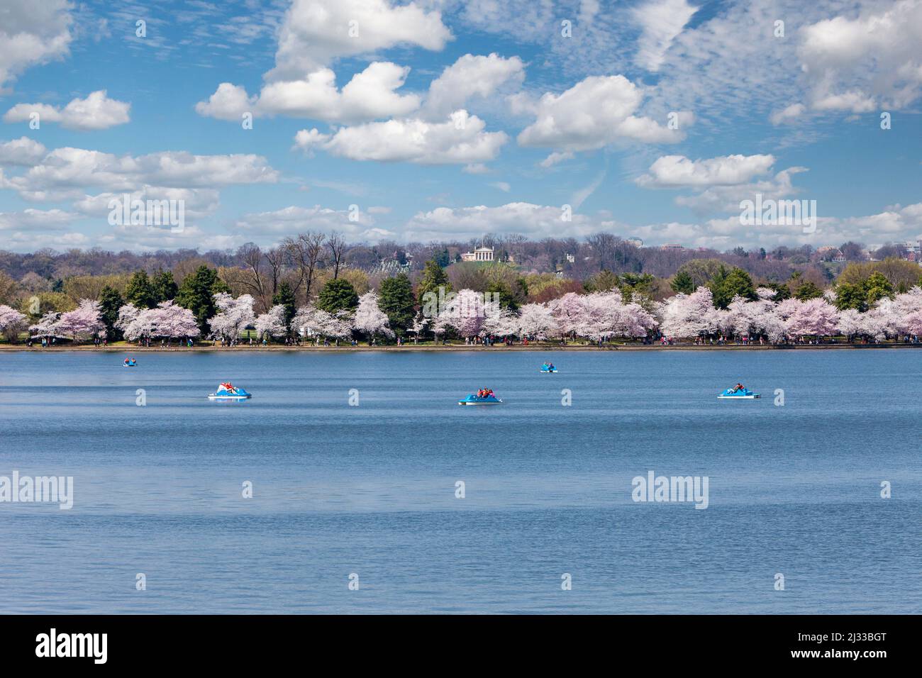 Washington, D.C., Cherry Blossoms.  Paddle-Boating on the Tidal Basin.  Custis-Lee Mansion on Hilltop in Background. Stock Photo
