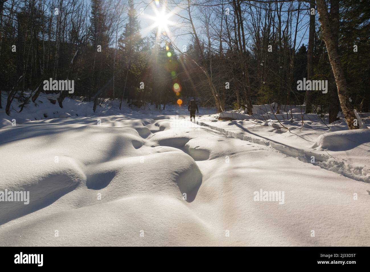Hiker snowshoeing along Franconia Brook in Lincoln, New Hampshire