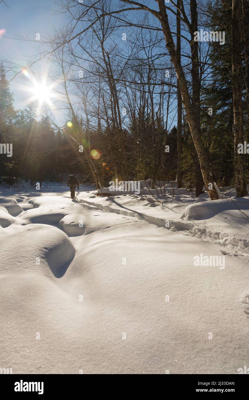 Hiker snowshoeing along Franconia Brook in Lincoln, New Hampshire