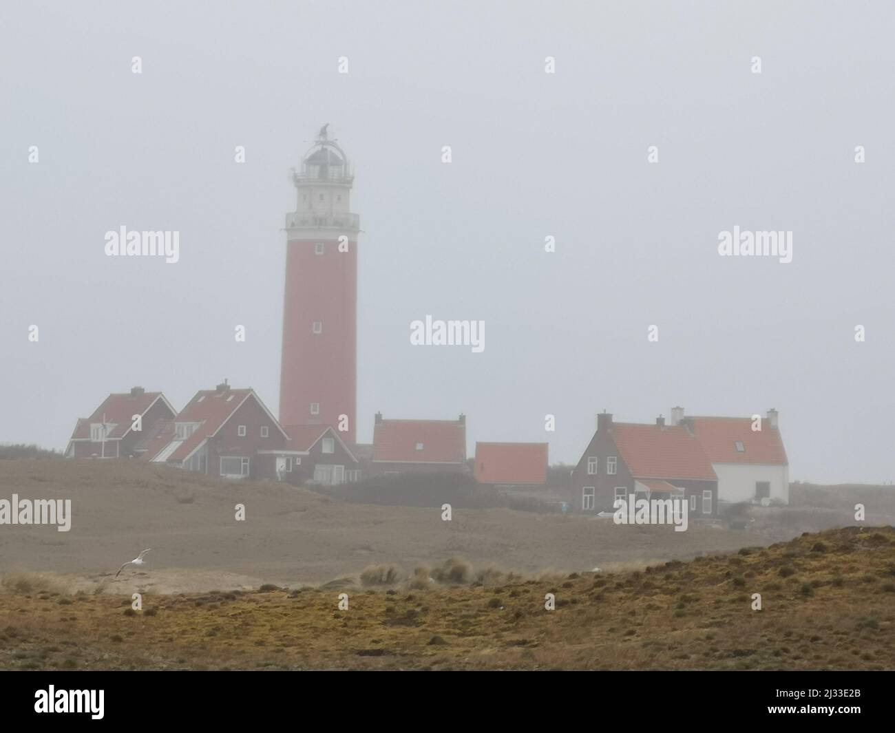 The lighthouse of De Cocksdorp on Texel in a foggy, misty landscape. Stock Photo