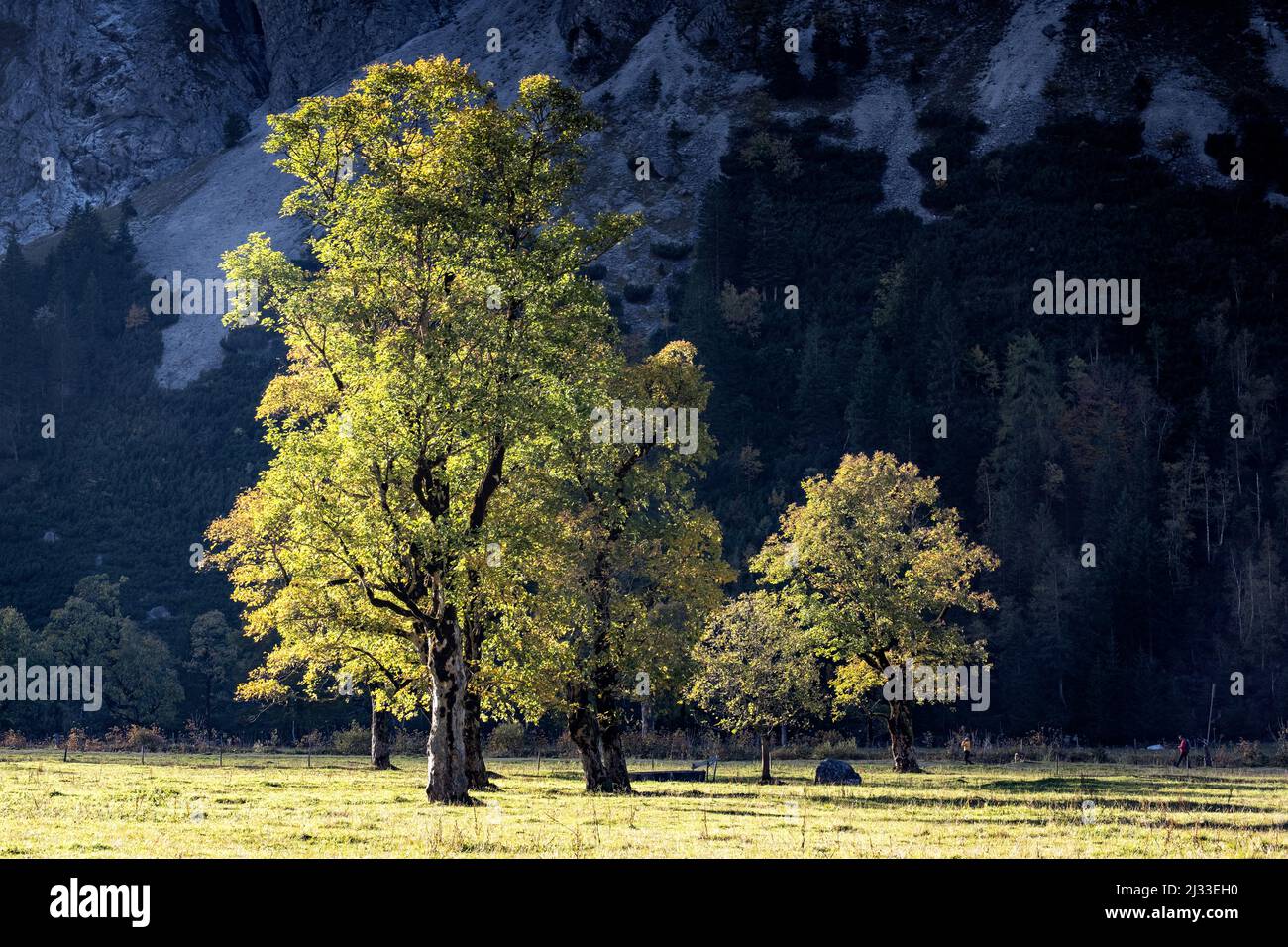 The Great Ahornboden, Karwendel, Tyrol, Austria Stock Photo