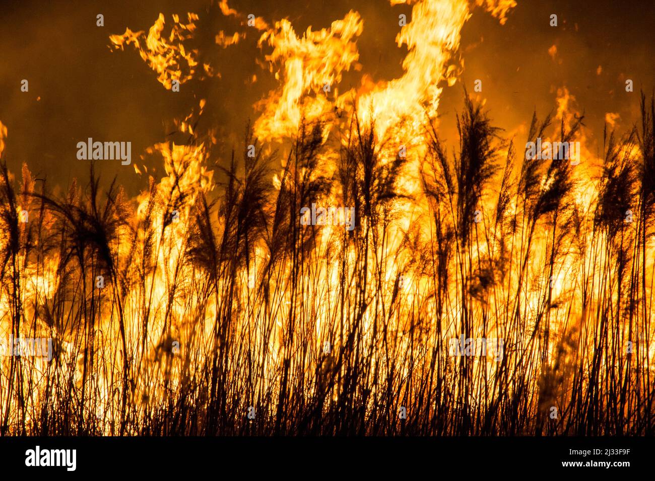 Fire at night, burning the farm at night, smoke rising into the air