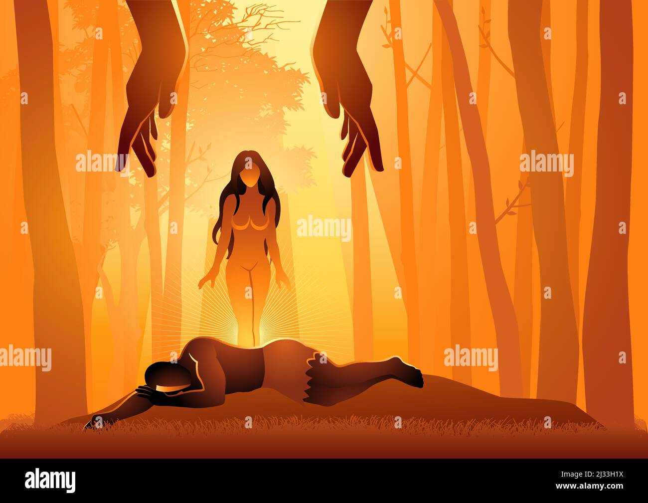 Biblical illustration series, second chapter of Genesis, Eve was created by God by taking her from the rib of Adam Stock Vector