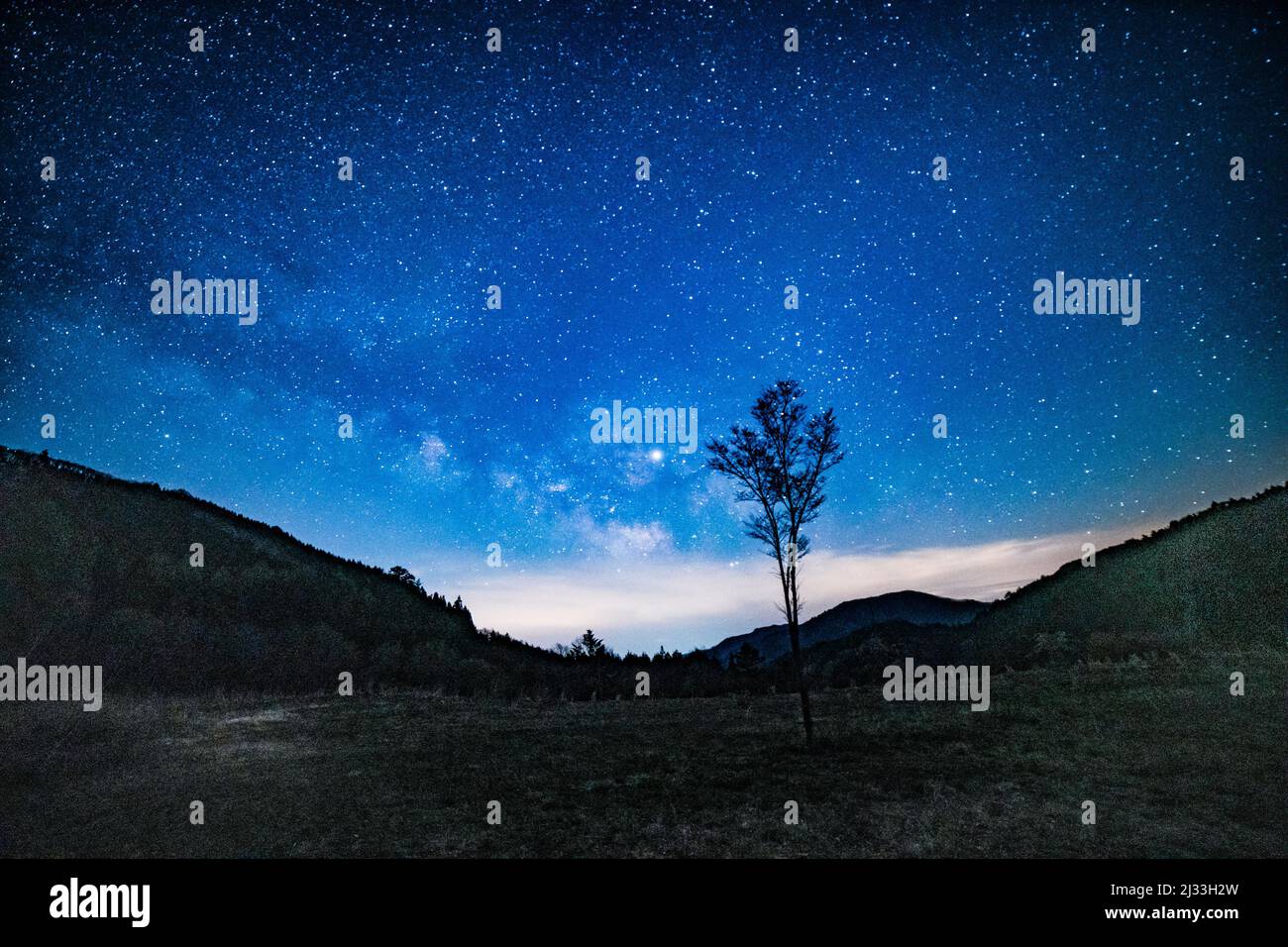 A beautiful view of a landscape with trees under the night sky full of ...