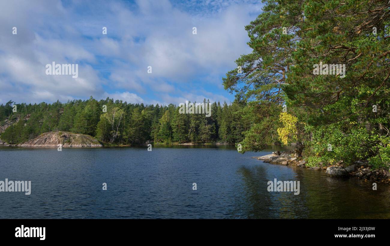 Shore with forest at Lake Stensjön in Tyresta National Park in Sweden ...