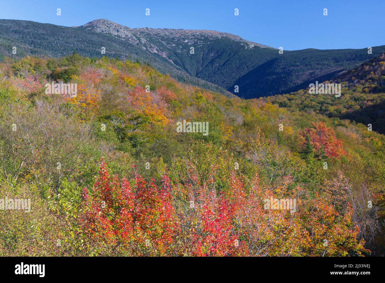 Lafayette Brook Scenic Area in Franconia, New Hampshire during the autumn months. Stock Photo