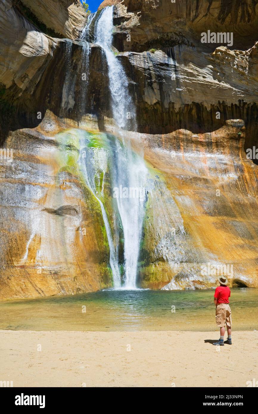 Man contemplating Lower Calf Creek Falls, Grand Staircase Escalante National Monument, Utah, USA. Stock Photo