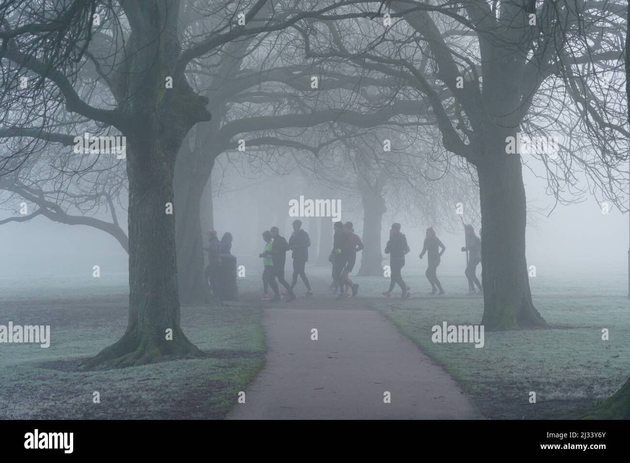On a cold morning in Harrogate, England, a diverse group of joggers brave the misty weather to take a run along The Stray, England, UK. Stock Photo