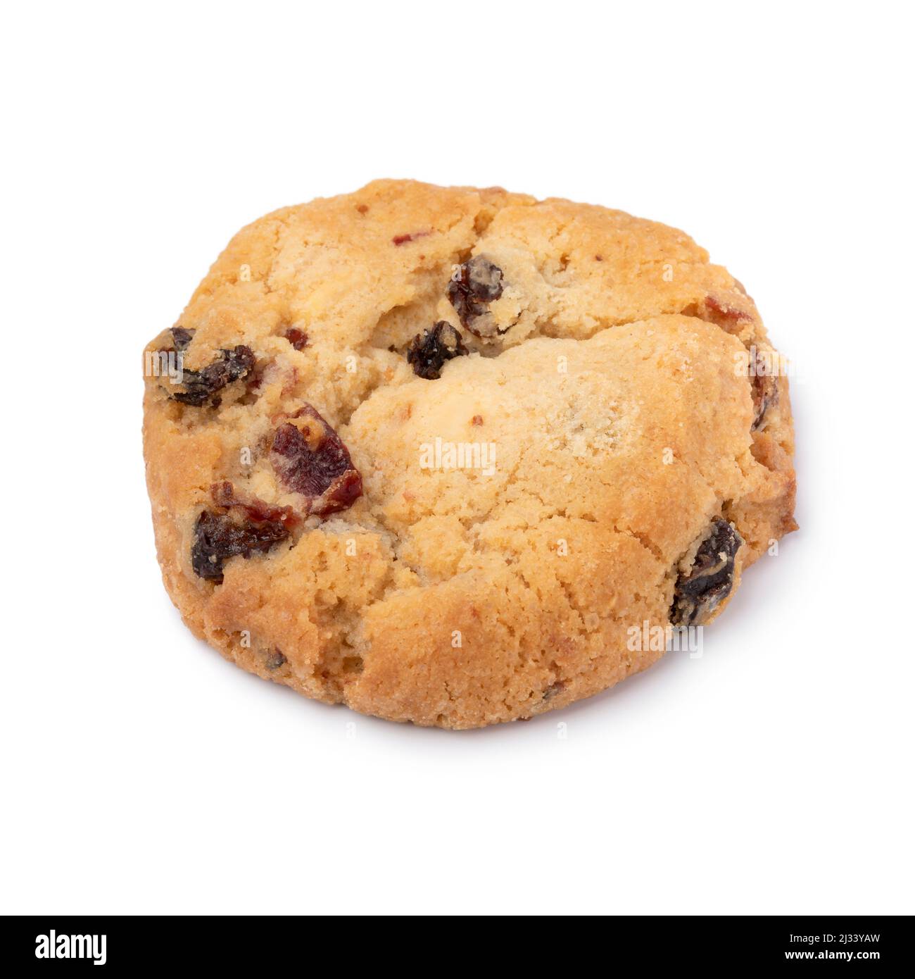 Single fresh baked chocolate cranberry cookie close up isolated on white background Stock Photo