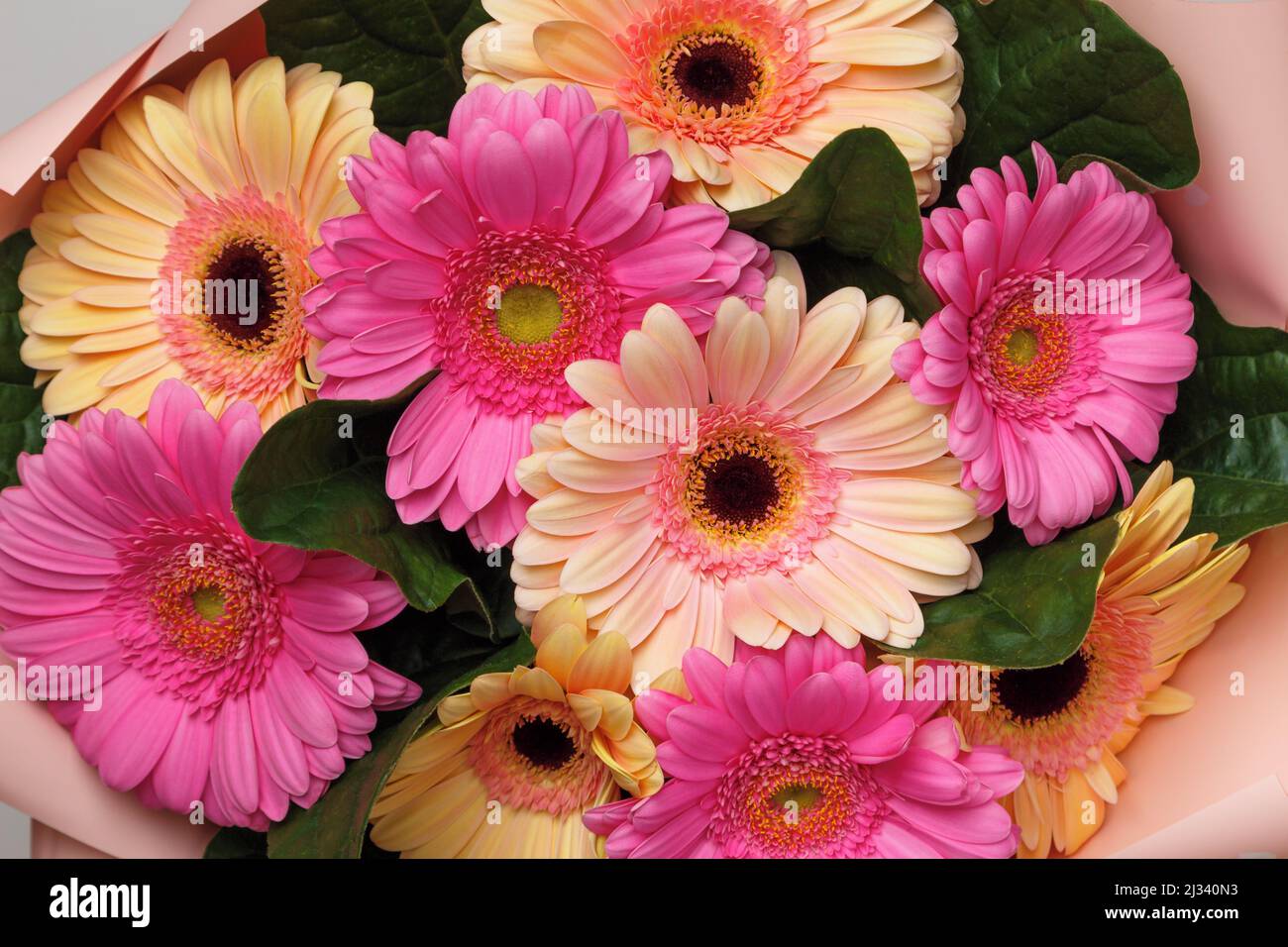 Gerbera bouquet hi-res stock photography and images - Alamy