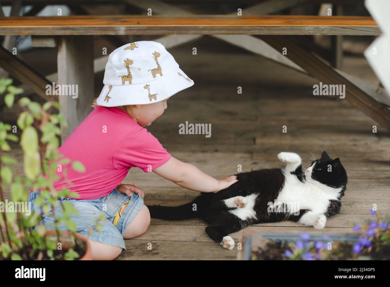 A little girl playing with funny cat outdoors. Child and her kitten ...