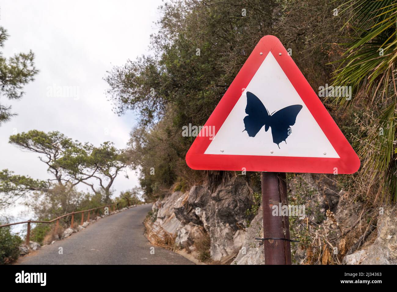 Warning triangle road traffic sign for butterflies, Gibraltar Stock