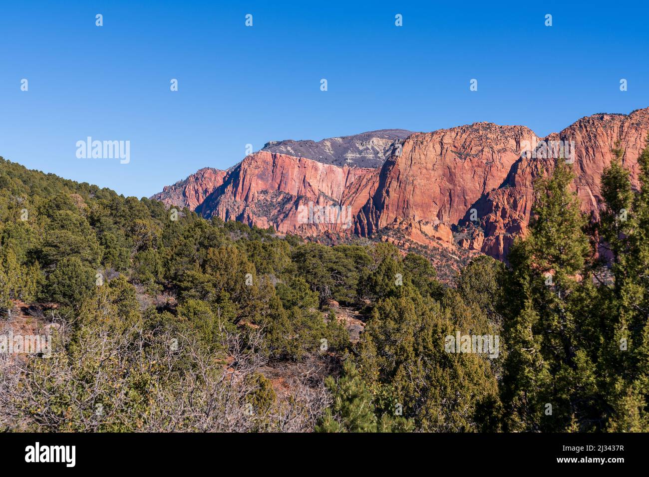 A scenic view of the Kolob Canyons at the Zion National Park in Utah