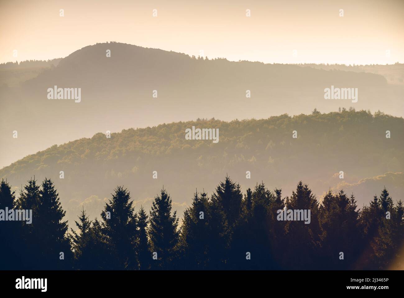 Autumn forest in the morning light, Ehrenberg, Rhoen, Hesse, Germany, Europe Stock Photo