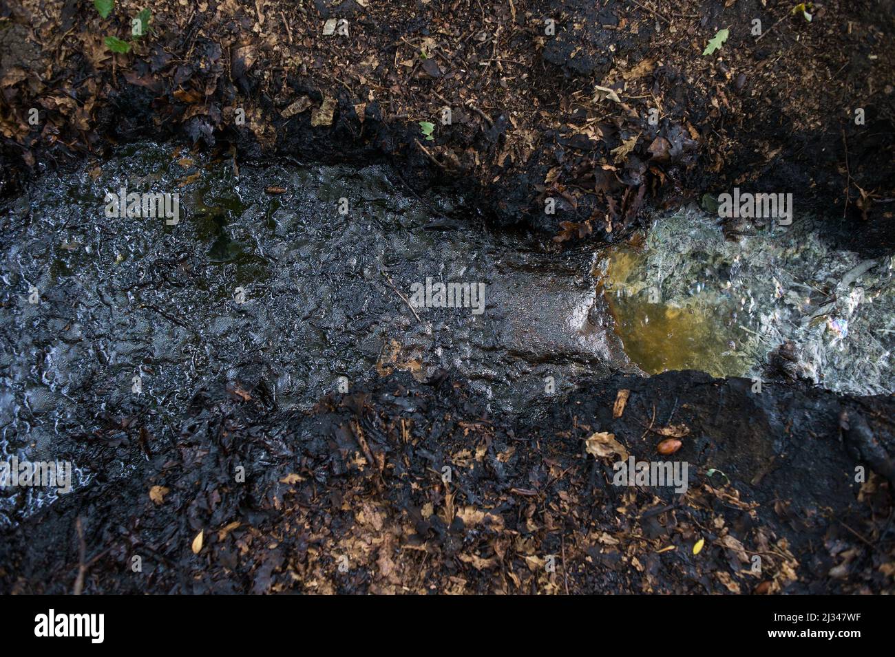 Tramutola, Italy 13/06/2015: Tramutola bubble, a spring in contrada Caolo containing oil, sulfur, gas and water. ©Andrea Sabbadini Stock Photo