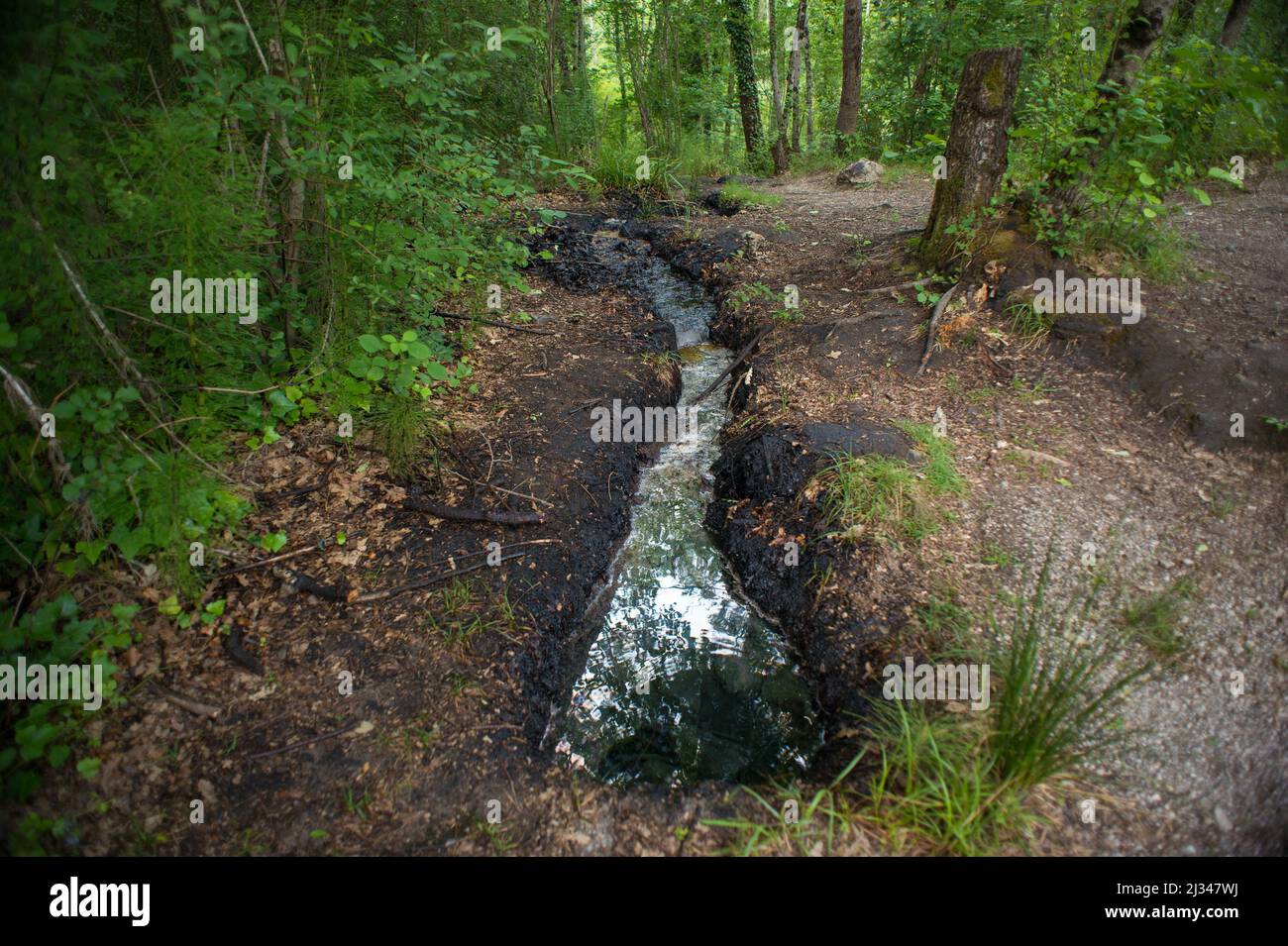 Tramutola, Italy 13/06/2015: Tramutola bubble, a spring in contrada Caolo containing oil, sulfur, gas and water. ©Andrea Sabbadini Stock Photo