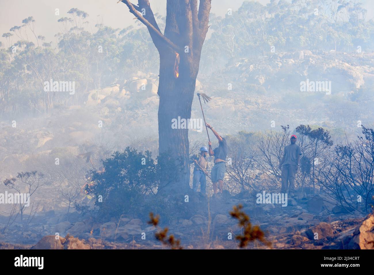 Taking down the fire one tree at a time. Shot of fire fighters combating a wild fire. Stock Photo