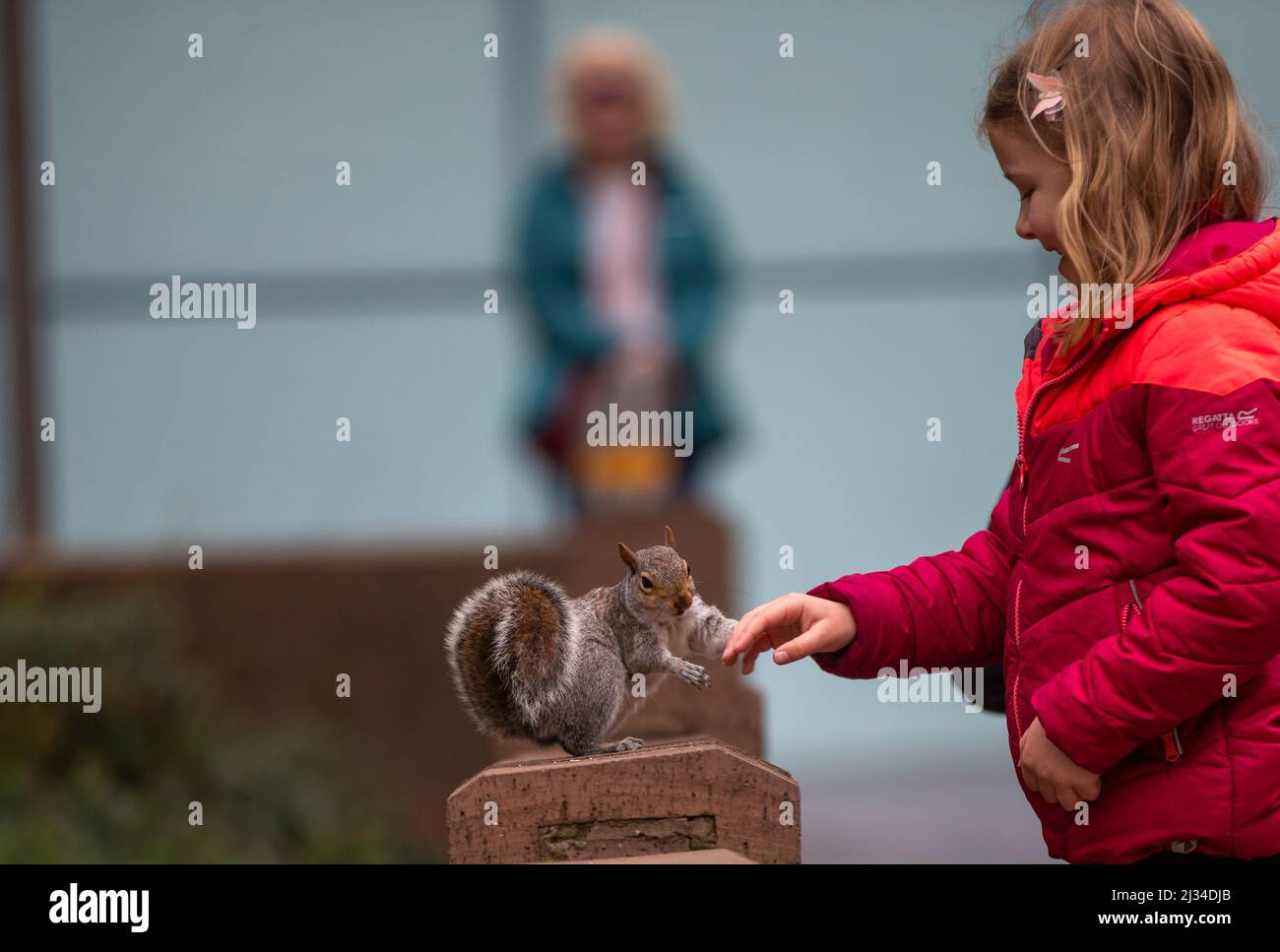April 5, 2022, London, England, United Kingdom: A  girl l is seen playing with a squirrel  outside Southwark Crown Court in London. (Credit Image: © Tayfun Salci/ZUMA Press Wire) Stock Photo