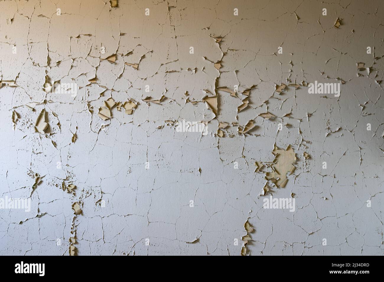 White paint on a wall peeling off. Abstract background of a vintage wall inside in an abandoned building. Interior design texture of a ruin. Backdrop Stock Photo