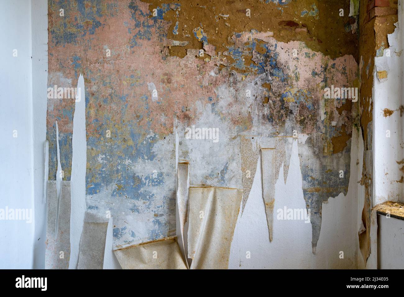 Old peeling wallpaper hi-res stock photography and images - Alamy