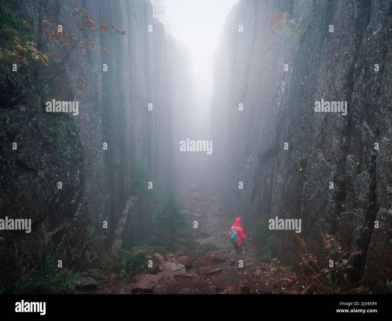 Woman hikes through Slåttdalsskrevan canyon with fog in Skuleskogen National Park in eastern Sweden Stock Photo