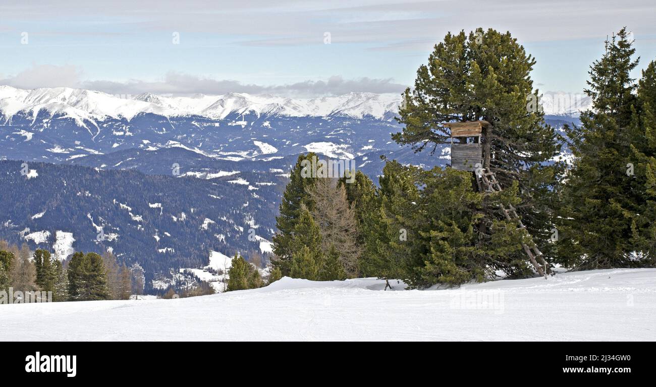 A view of hunting pulpit between green trees in background of snow covered mountains in Murau Stock Photo